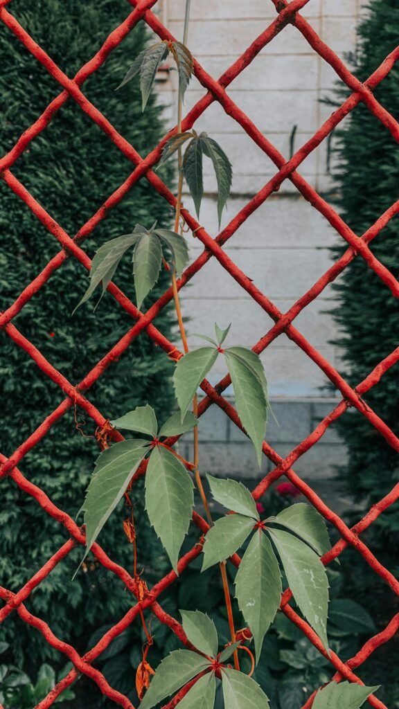 Fencing Huddersfield